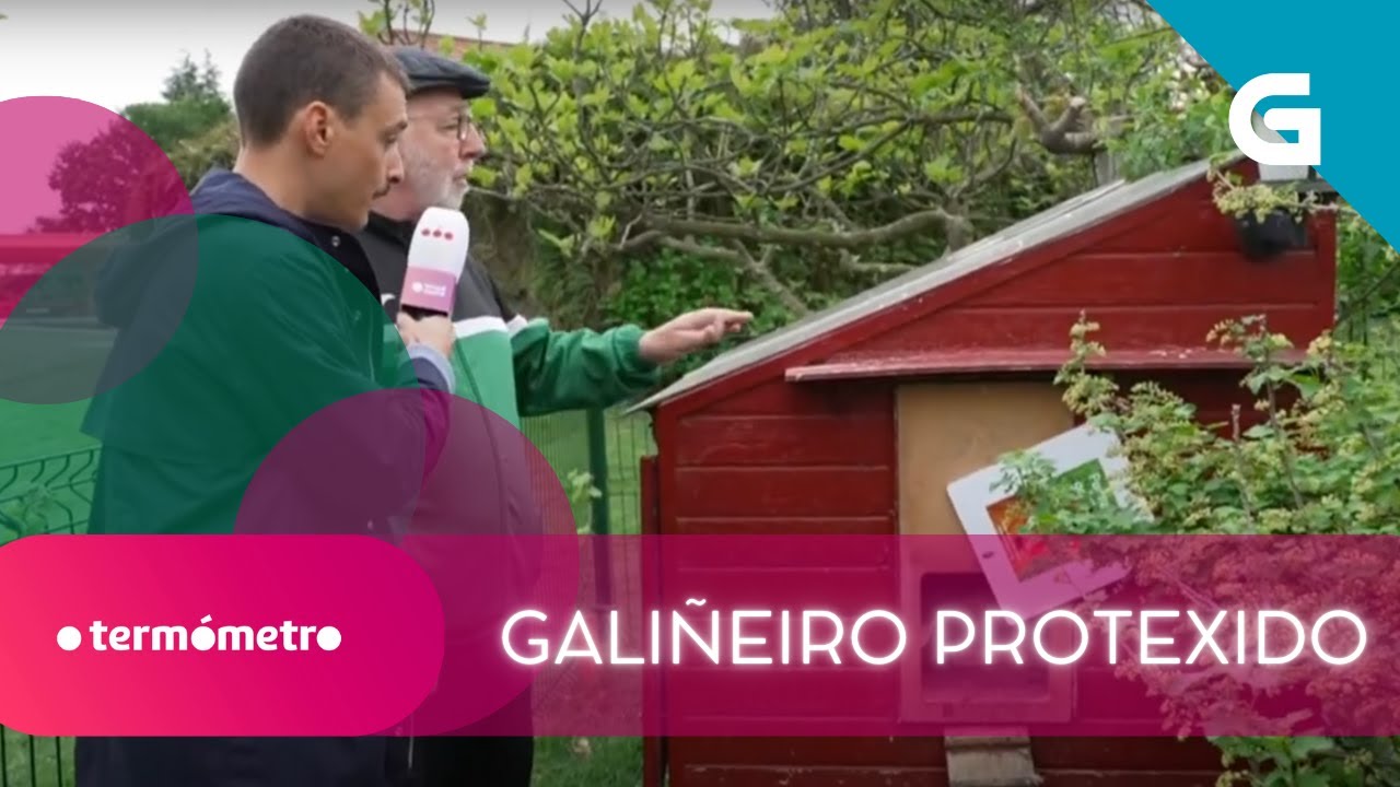 🐔🐓 Un GALIÑEIRO con SENSORES de LUZ para PROTEXER ás PITAS