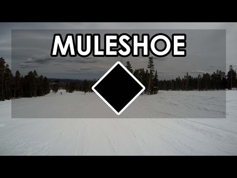 Eldora - ADVANCED - Muleshoe