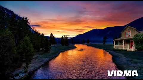 تلاوة من صلاة التراويح  من سورة غافر