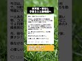 「夫不在・車なし…」やんちゃな子供3人を連れて『ワンオペ動物園』に挑んだ結果。9歳長男の賢すぎる行動にほっこり🤣 #ワンオペ育児 #ほっこり