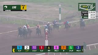 Vidéo de la course PMU PREMIO SIMPLE AMISTAD