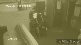 While You Watching Pinkfong Did You Ever See My Tail