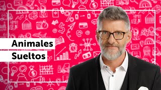 Animales Sueltos | Programa completo (9/12/20)