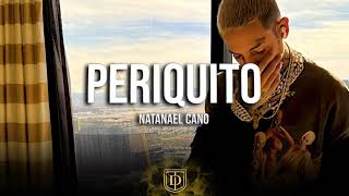 Periquito - Natanael Cano - LETRA 🔥🔥
