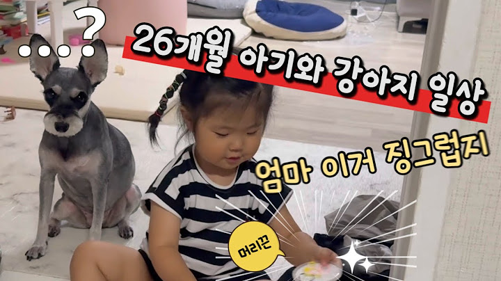 26개월 아기와 강아지 #슈나우저