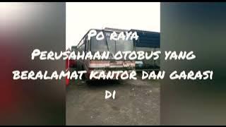 Sejarah dan Informasi Singkat PO RAYA