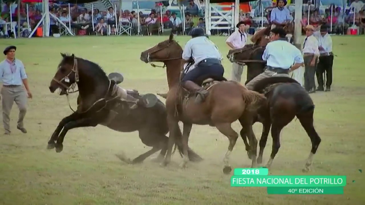 11 Domingo Broche de Oro