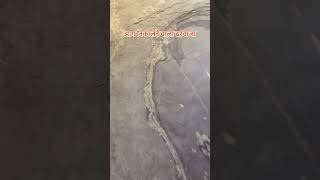 Wall Pannel Contact 9818902020