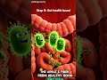 Eat One Apple &amp; THIS Happens Inside Your Body! 🍎 (Animated)#shorts#apple