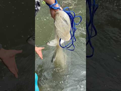 Sa Lumang Dam Madami Kang Mahuhuling Isda