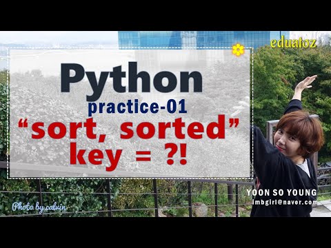 [PYTHON-146] sort, sorted 함수의 key parameter 사용법