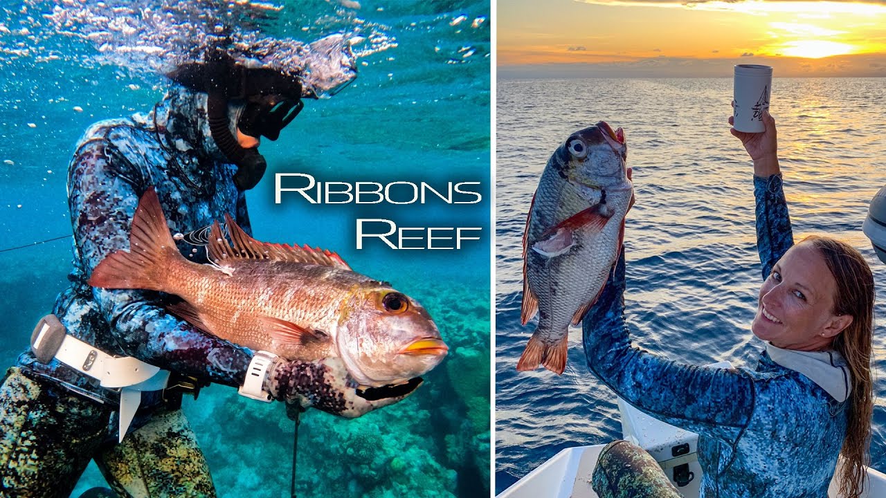 Ribbons Reef Bigeye Seabream (Mu) Catch & Cook (Sailing Popao) Ep.37