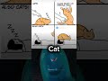 do not use this sound #memes #funny #cat #shorts