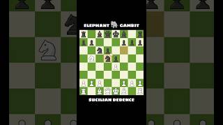 Watch out the classic elephant gambit in chess