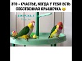 Крышечка...