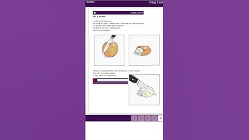 Spreken B1 Inburgering Nederlands (deel 113) #nederlands #nt2 #dutch  #learndutch #speakdutch