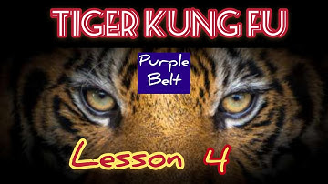 learning kung fu at small space / tiger kung fu lesson 4 / 虎拳第四课