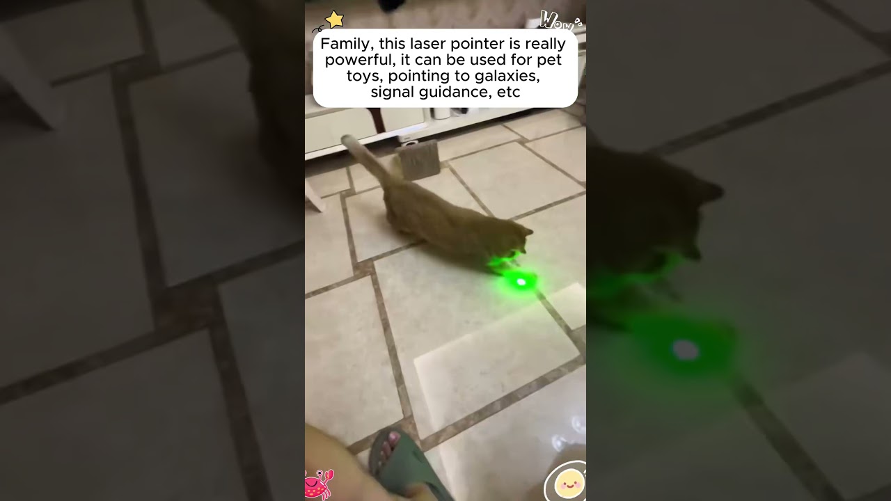 Powerful Laser Pointer for Pets, Stargazing & More 