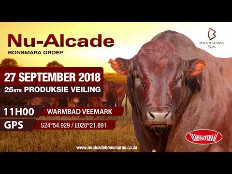 Nu-Alcade Bonsmaras Sep
