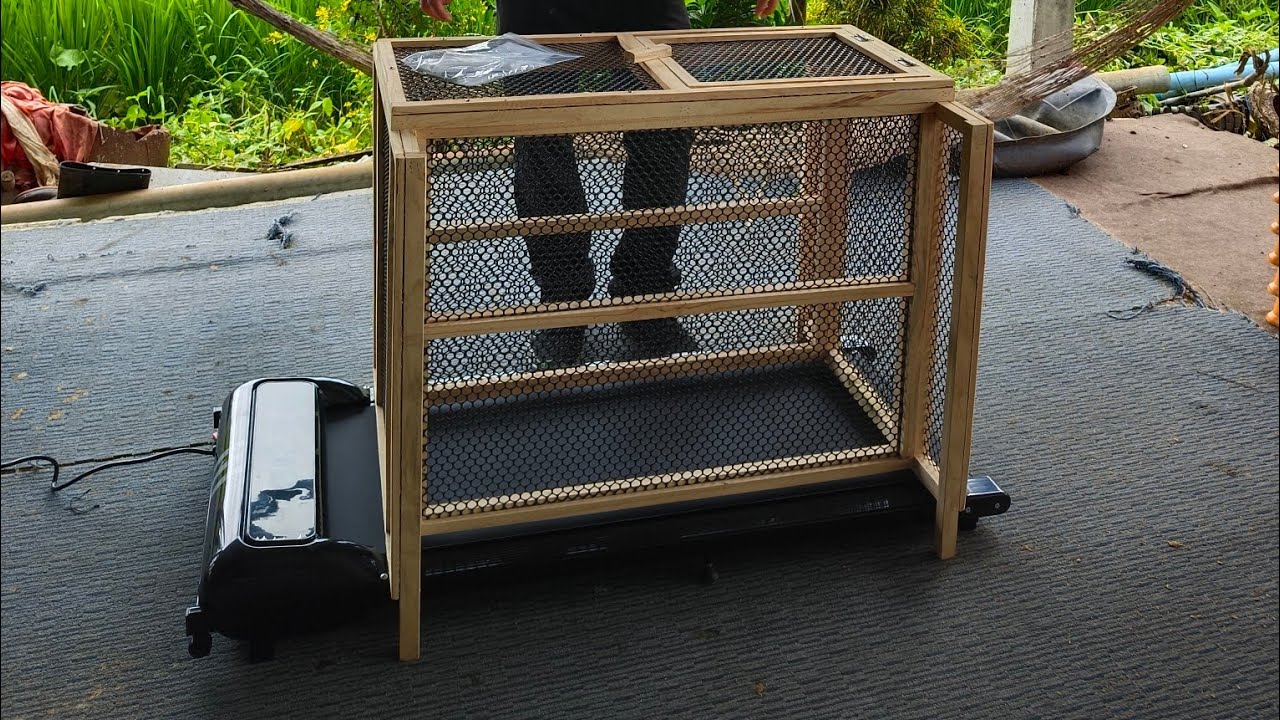 Электрическая беговая дорожка для тренировок (для спортивных цыплят).