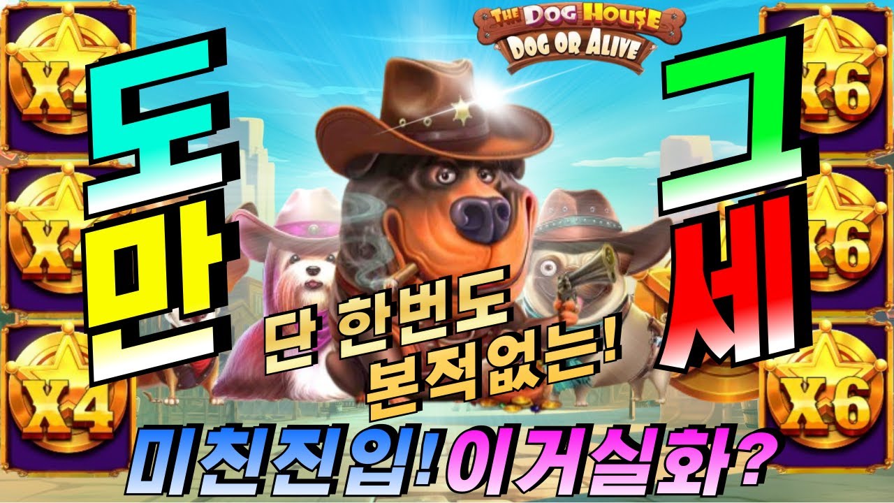 ⁣​[슬롯하이라이트]슬롯이사🔥더 도그 하우스 도그 오어 어라이브:The Dog House Dog Or Alive 🔥 #슬롯방송 #온라인슬롯 #프라그마틱슬롯 #슬롯실시간