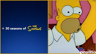 The Simpsons Disney Promo 2
