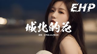 王宇宙Leto/喬浚丞 - 城北的花『城北的花開了幾個冬夏，城南的你還好嗎？看夠了遠方就來看我吧，回家別光著腳丫。』【動態歌詞MV】