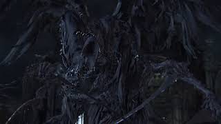 Oh bugger off Bloodborne