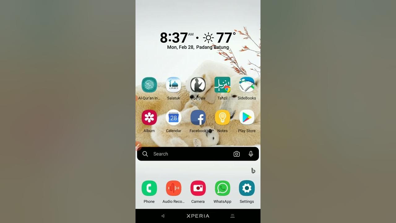 How to Copy Ringtones and Notifications Sound from Android Phone for