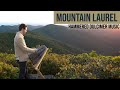 Mountain Laurel | Hammered Dulcimer, Cello, Bass & Percussion | Acoustic Instrumental Music