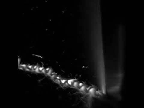 High speed video of creping process in tissue paper manufacturing - YouTube