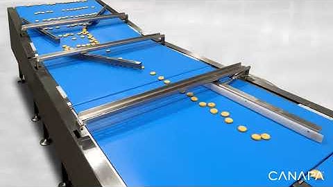 High Speed Edibles Flow Pack System with Product Aligner