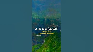تلاوة خاشعة بصوت يريح النفس #elmulquranعلم #تلاوة #اكسبلور #المصحف #trend #duet #قران_كريم