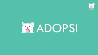 ADOPSI APP - Crowdfunding Campaign to Help Stray Animals Around The World ADOPSI APP - Crowdfunding Campaign to Help Stray Animals Around The World