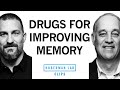 Medications that may improve memory  brain function  dr mark desposito  dr andrew huberman