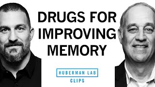 Medications That May Improve Memory & Brain Function | Dr. Mark D'Esposito & Dr. Andrew Huberman