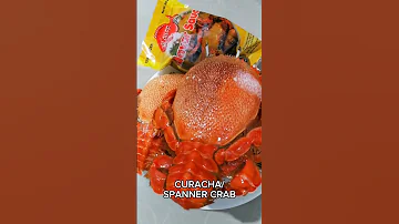 ANG CURACHA NG ZAMBOANGA #crab #spanner #curacha #zamboanga