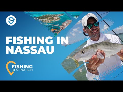 Fishing in Nassau, Bahamas: The Complete Guide