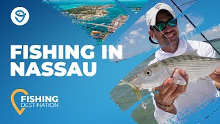 Fishing in Nassau, Bahamas: The Complete Guide screenshot 3