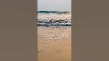 واصبروا ان الله مع الصابرين سورة الانفال |القارئ ماهر المعيقلي|