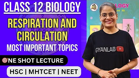 HSC 2025 | One Shot Lecture | Chp - 8 - Respiration and Circulation | Gyanlab | Anjali Patel