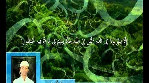 ما تيسر من سورة الزمر   -القارى مجاهد الخالدي