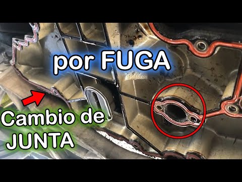 Como RENOVAR la