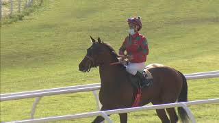 Vidéo de la course PMU PREMIO BABUR