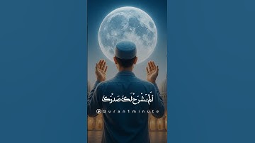 ألم نشرح لك صدرك.....#تلاوة_خاشعة #آيات #القرآن_الكريم #المصحف #اكسبلور #تلاوات