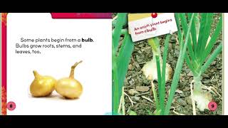 Plant Life Cycles Read Aloud