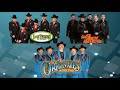 Los Tigres Del Norte vs Los Tucanes De Tijuana, Los Originales De San Juan  - Narco Corridos Mix