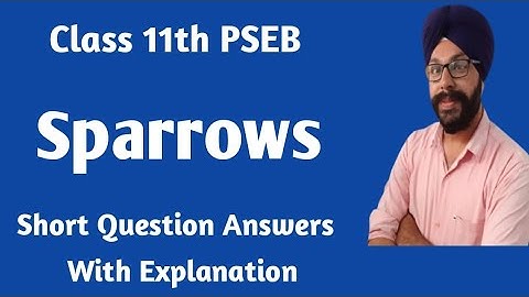 class 11 english chapter sparrow question answer sparrows class 11 short question answer pseb englis