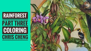 RAINFOREST - Part 3: Rainforest Plants Coloring // Chris Cheng