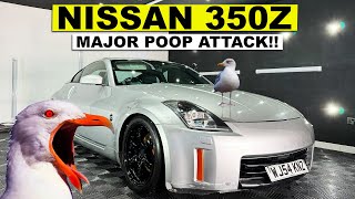 ATTACKED by SEAGULLS! - Nissan 350Z - Decontamination Wash & Engine Bay Detail